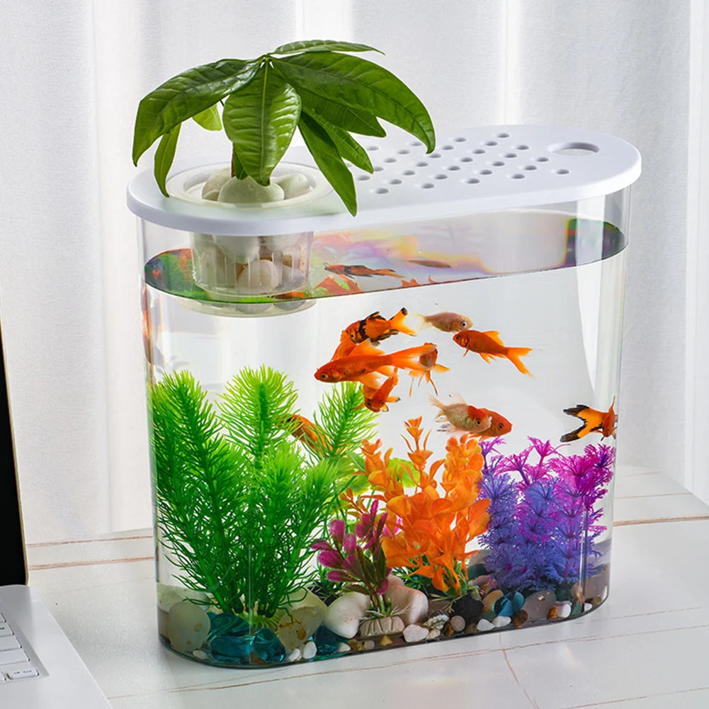 Plastic Desktop Aquarium