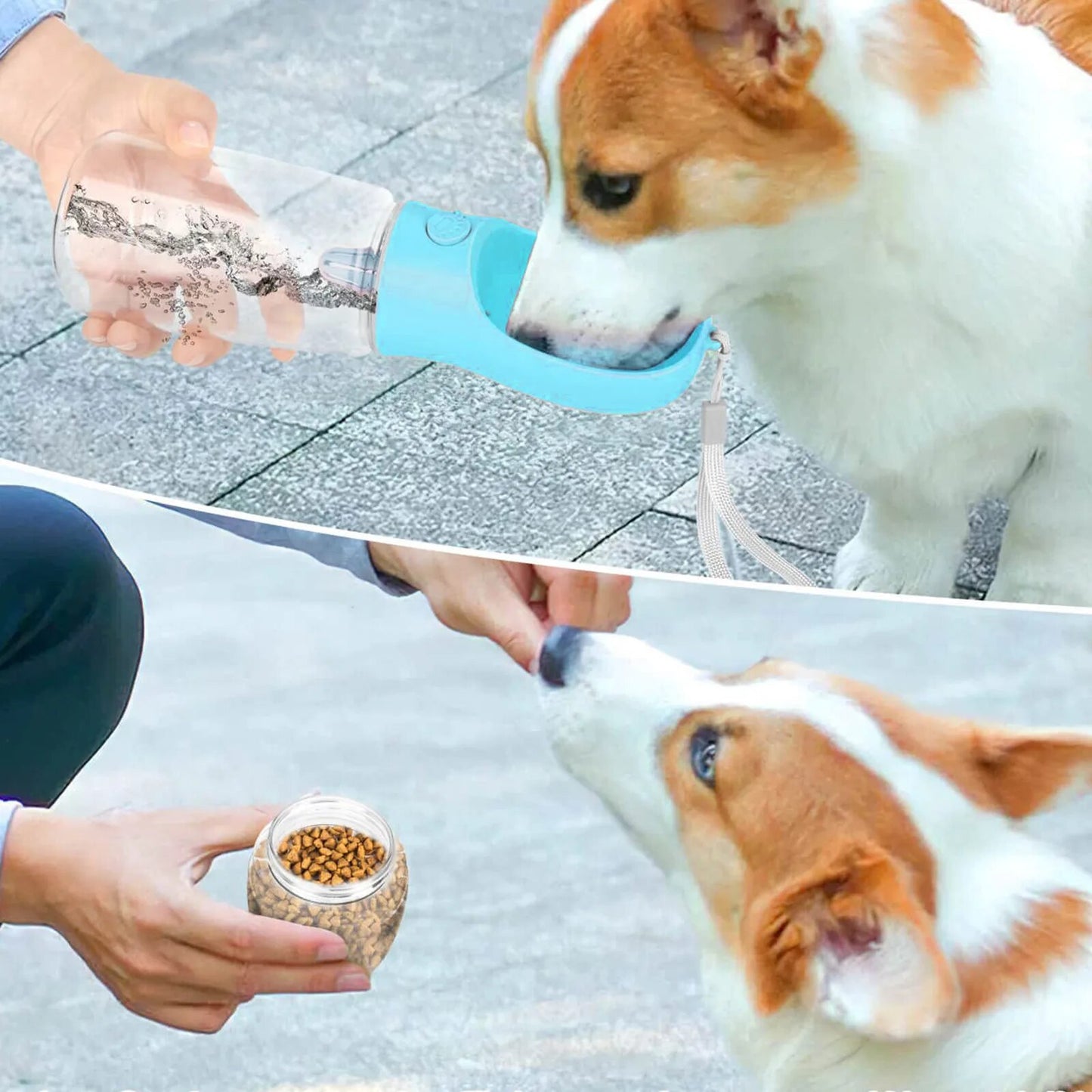 Portable Dog Water Bottle with Storage Food - pamperedpetmarket