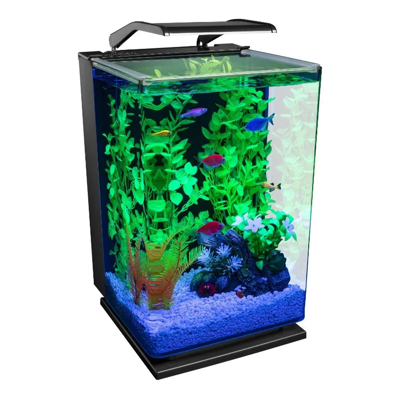 Desktop Aquarium Kit