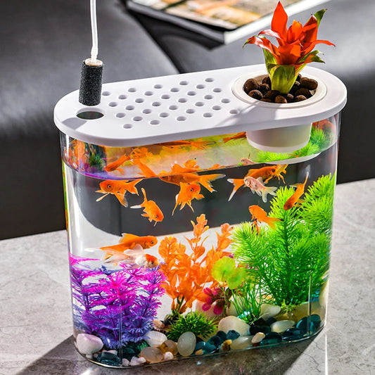 Plastic Desktop Aquarium
