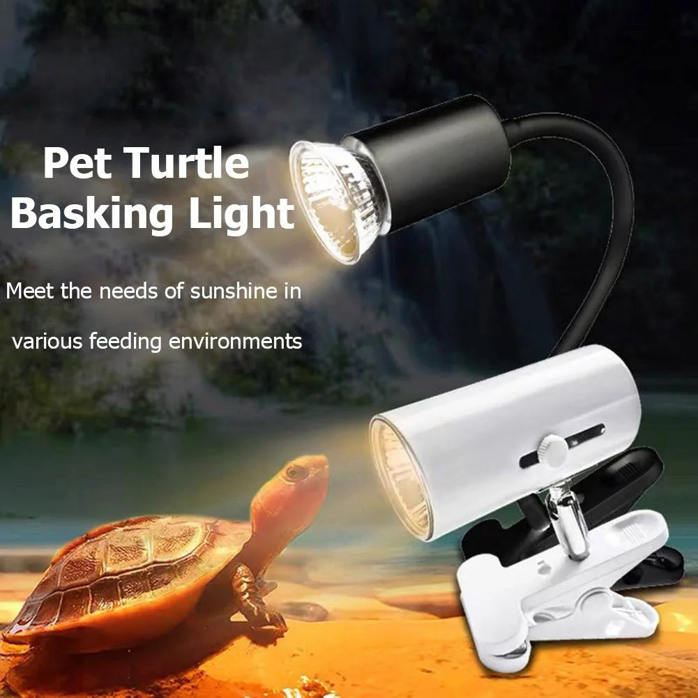 Reptile  Heating Lightbulb