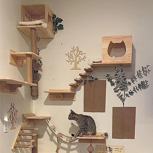 Cat Climbing Wall Mounted Tree