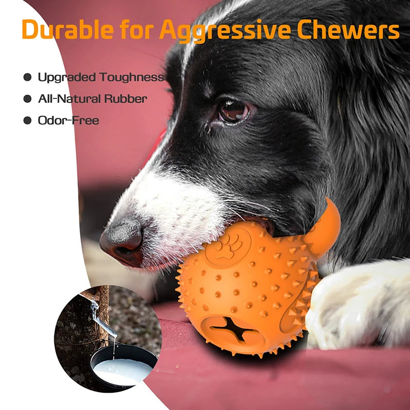 Dog Chew Toy  Food Dispensing