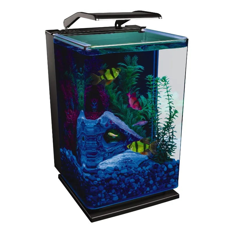 Desktop Aquarium Kit