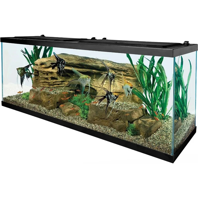 55 Gallon Aquarium Kit