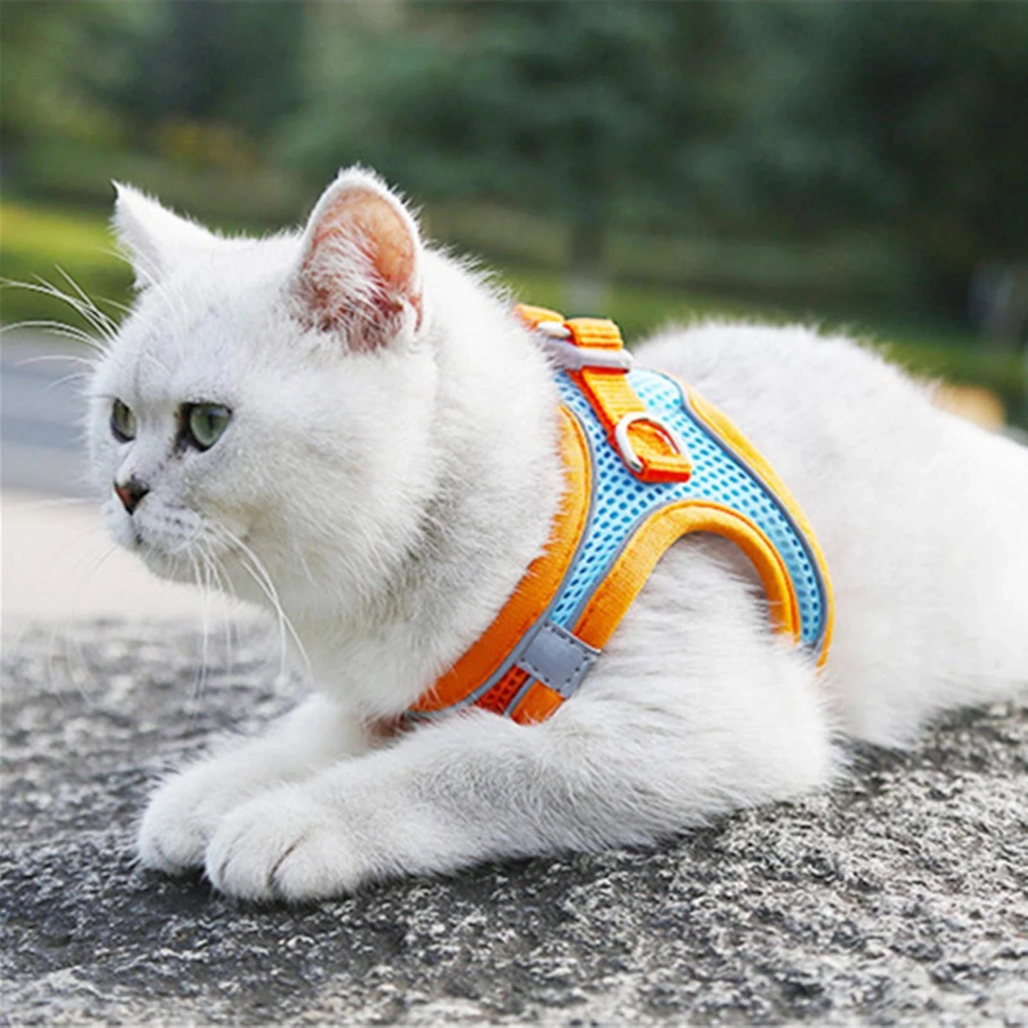 Reflective Pet Harnesses